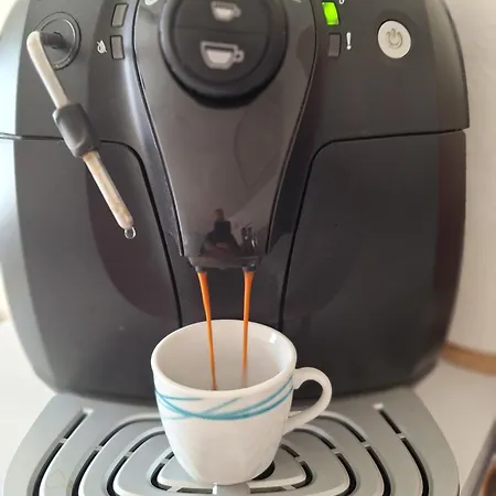Kökénykuckó *
